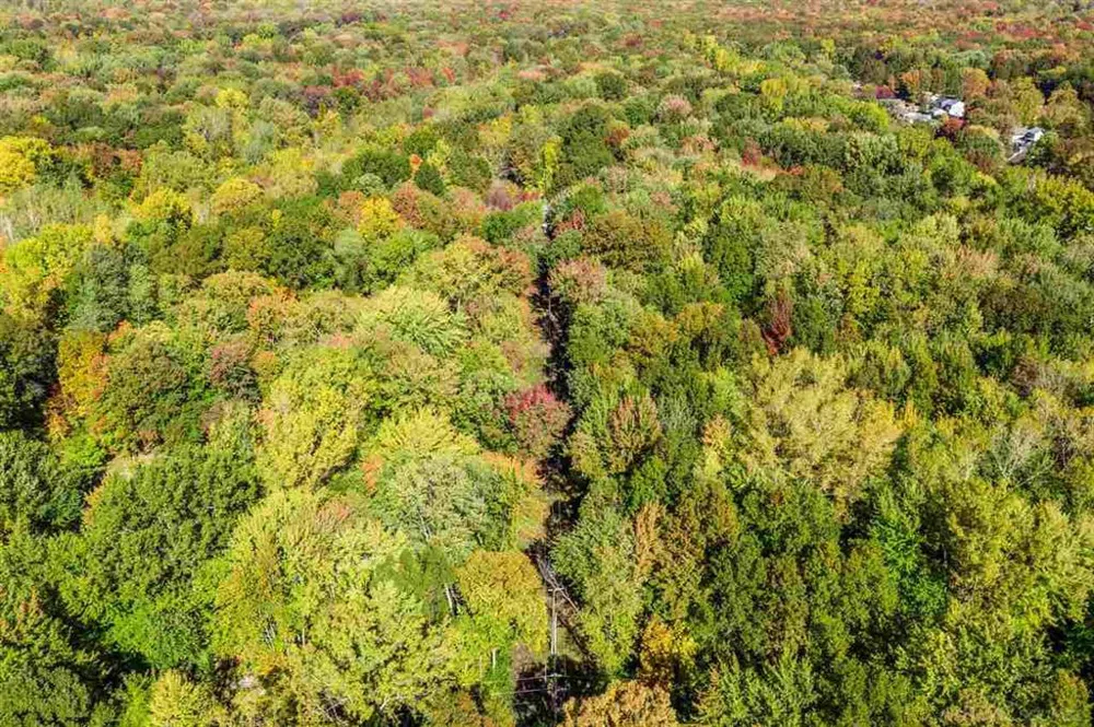 24 Vacant Lots Clay Township, MI 48001