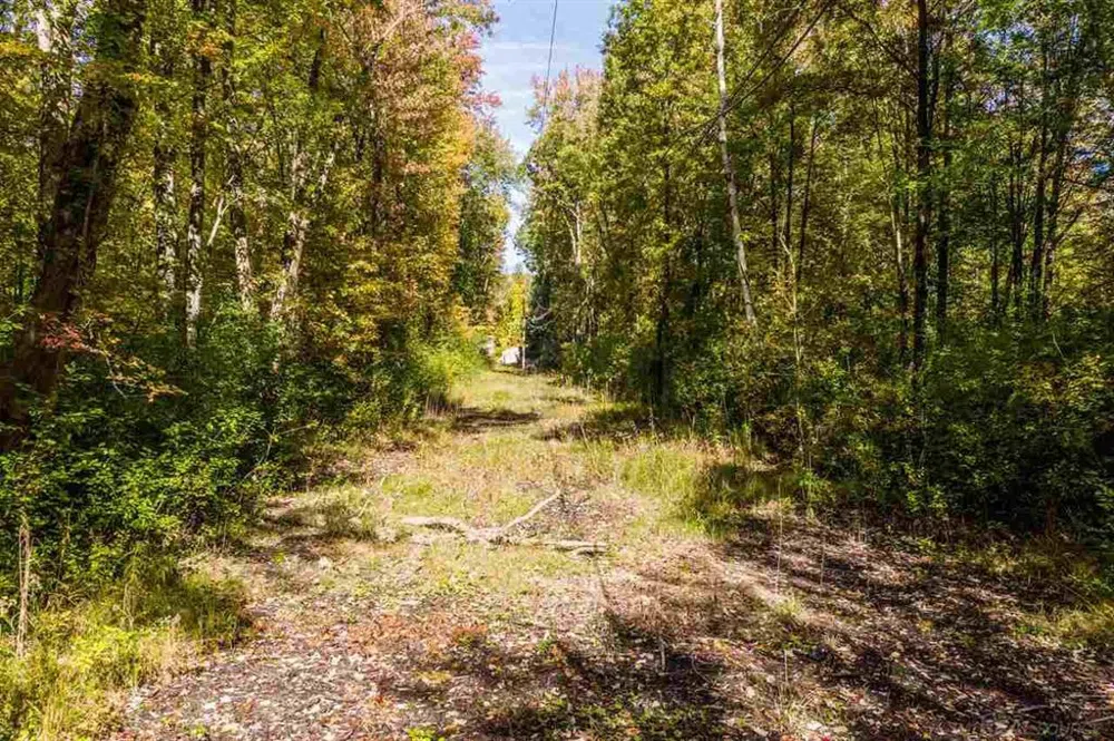 24 Vacant Lots Clay Township, MI 48001