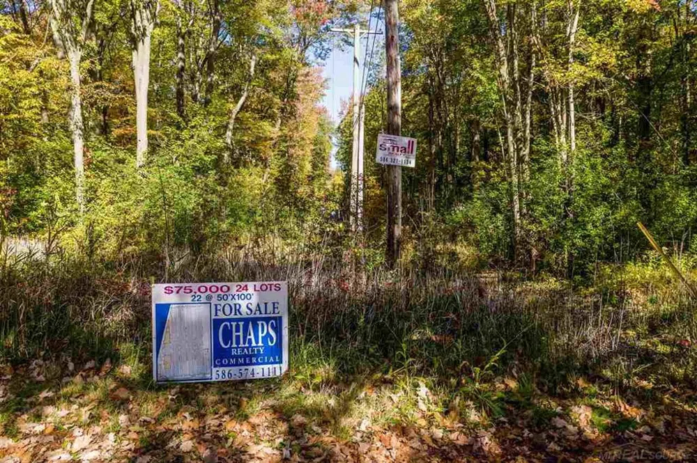 24 Vacant Lots Clay Township, MI 48001