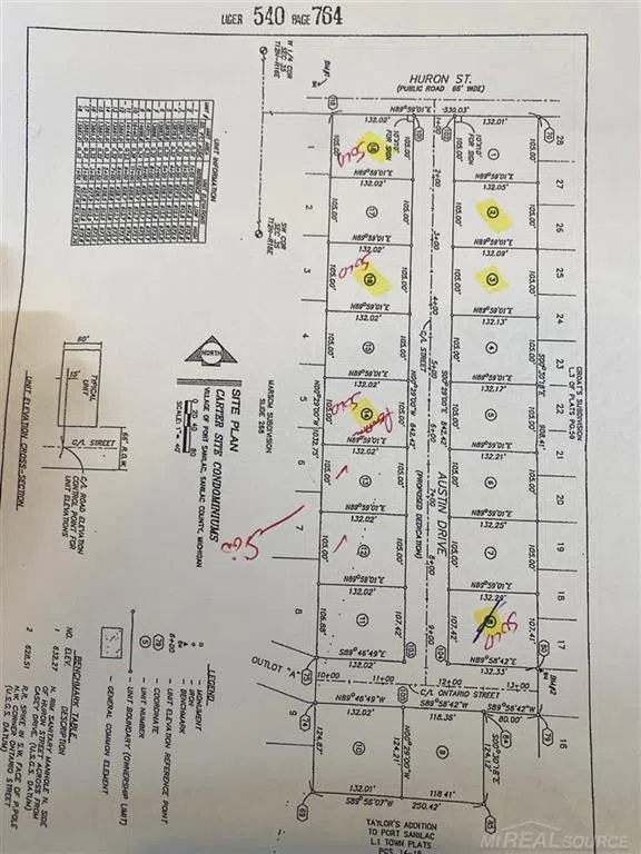 Austin Drive Sanilac Township, MI 48469