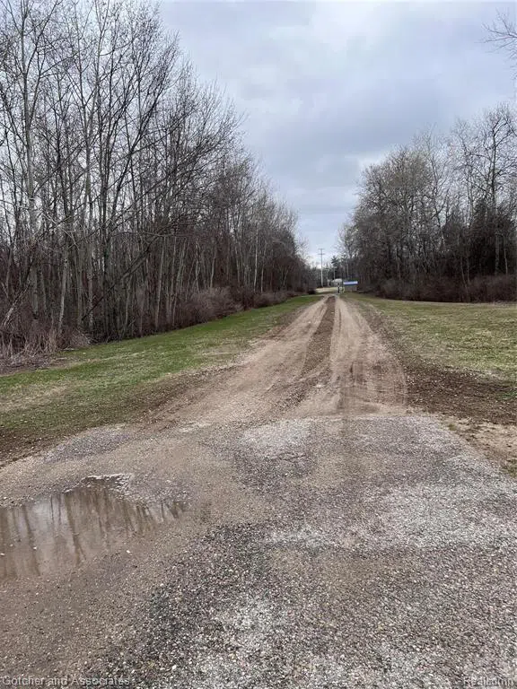 5239 Coleman Road Coleman City, MI 48618