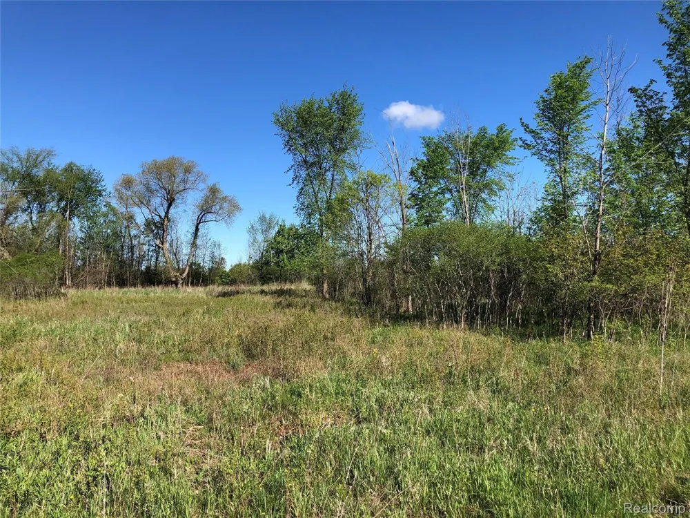 GRAHAM ROAD Imlay Township, MI 48444