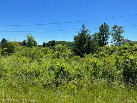 E WILSON ROAD
