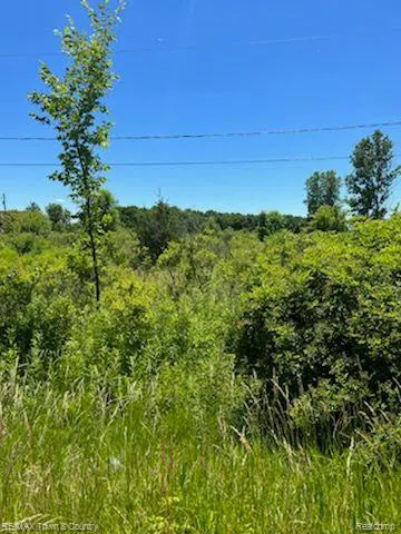 E WILSON ROAD Thetford Township, MI 48420
