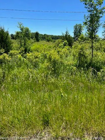 E WILSON ROAD Thetford Township, MI 48420