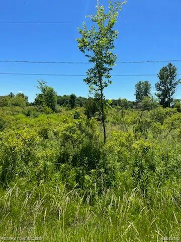 E WILSON ROAD Thetford Township, MI 48420