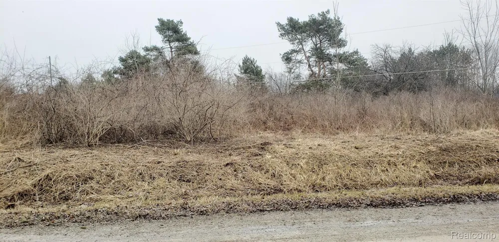 2300 MCKINLEY ROAD Flushing Charter Township, MI 48433