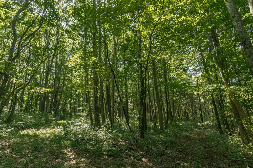0 S Thompson Ln Goodlettsville, TN 37072