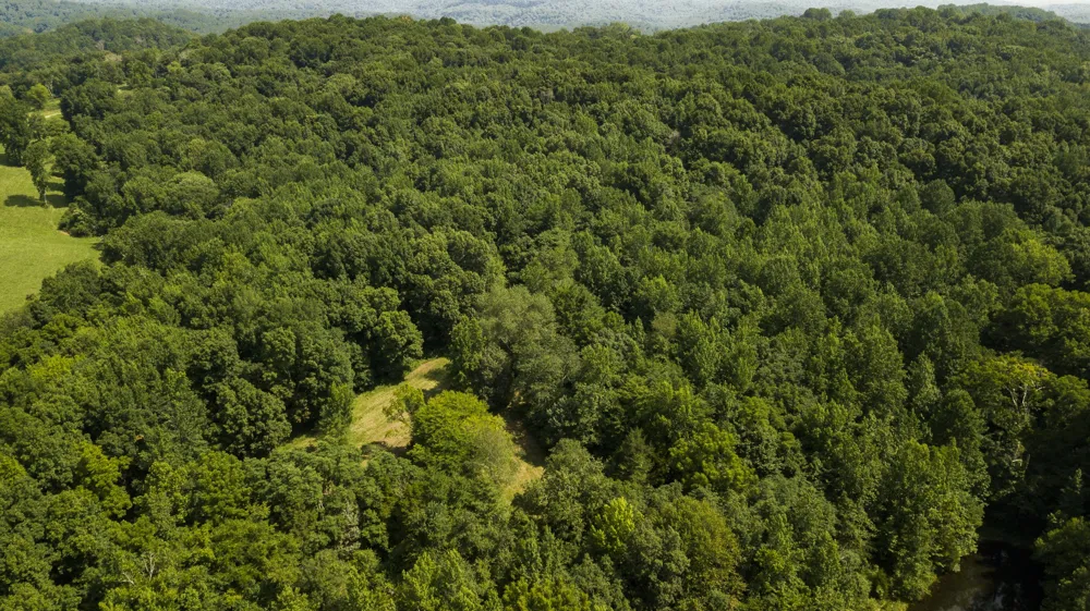 0 S Thompson Ln Goodlettsville, TN 37072
