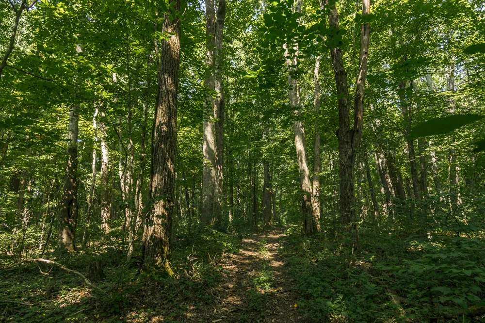 0 S Thompson Ln Goodlettsville, TN 37072