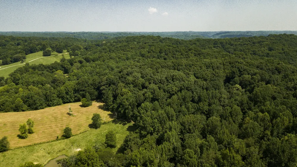 0 S Thompson Ln Goodlettsville, TN 37072
