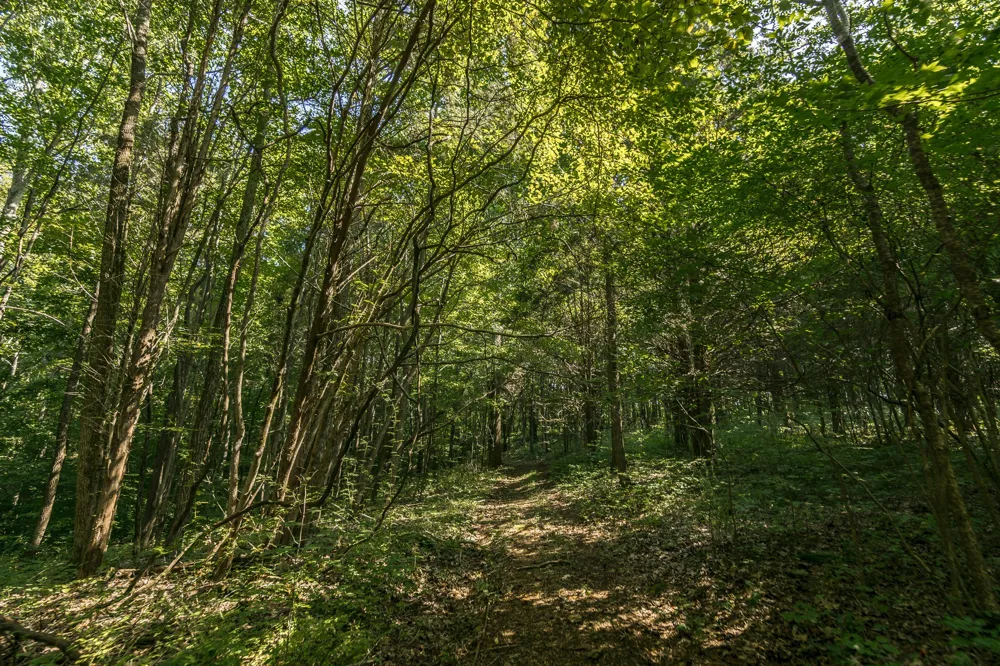 0 S Thompson Ln Goodlettsville, TN 37072