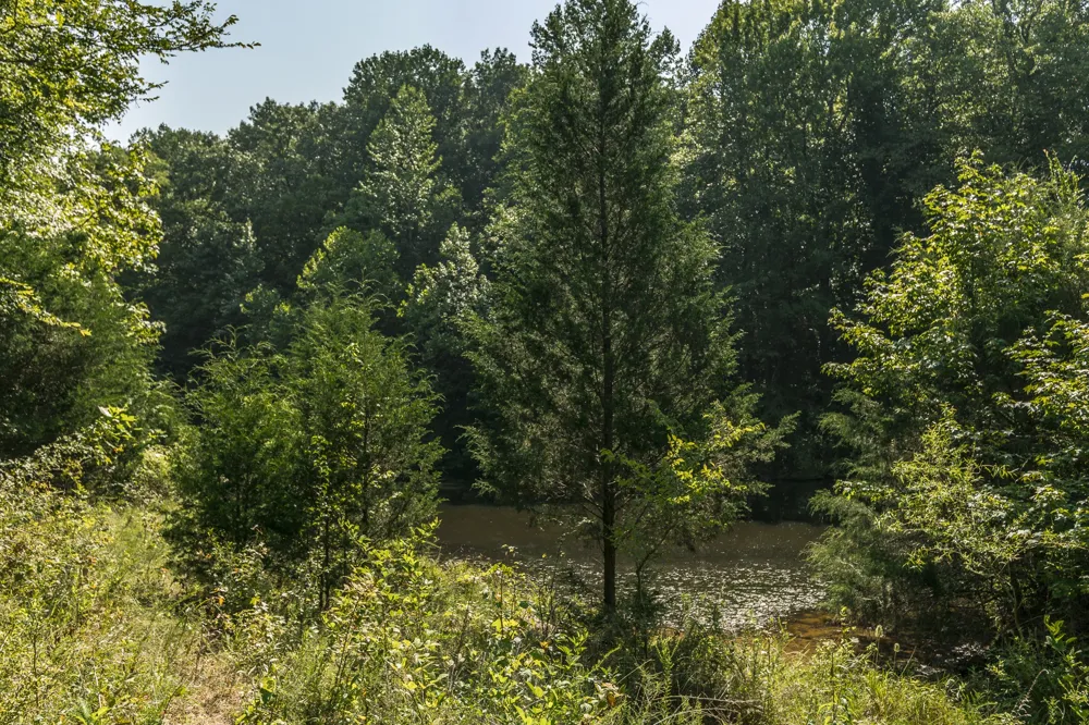 0 S Thompson Ln Goodlettsville, TN 37072