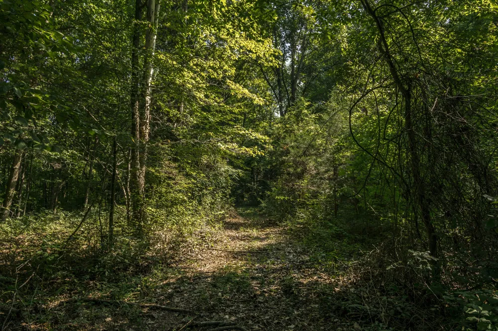 0 S Thompson Ln Goodlettsville, TN 37072