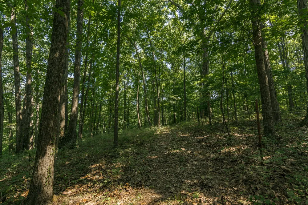 0 S Thompson Ln Goodlettsville, TN 37072
