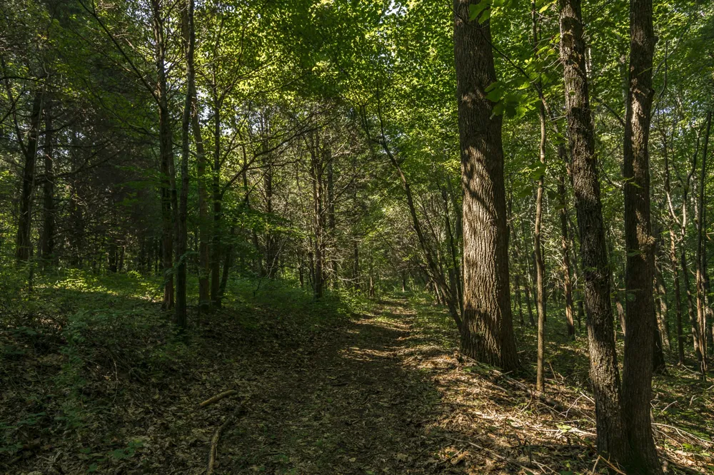 0 S Thompson Ln Goodlettsville, TN 37072