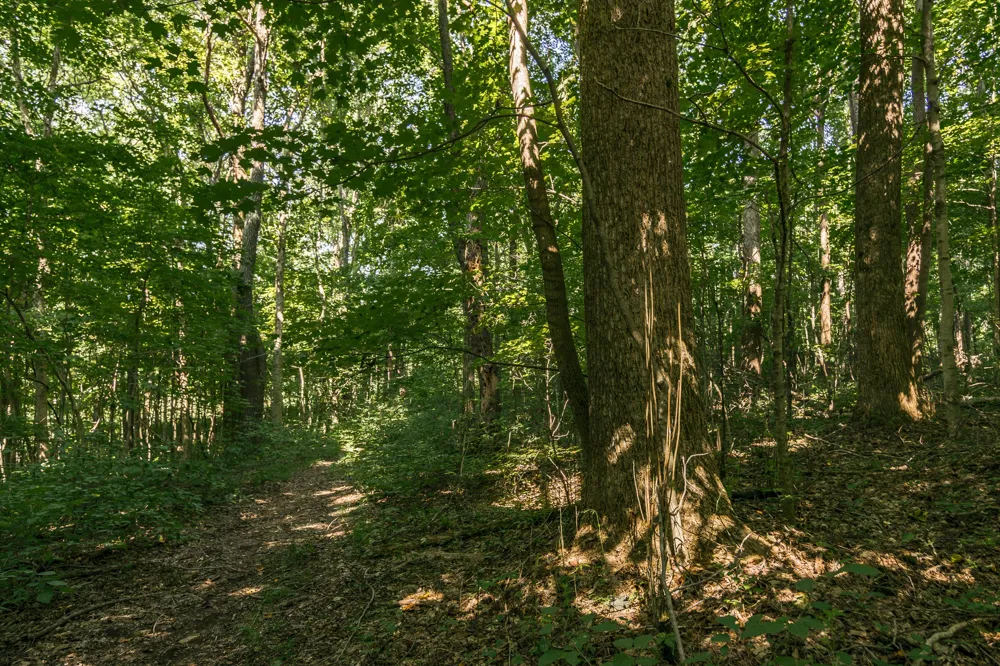 0 S Thompson Ln Goodlettsville, TN 37072