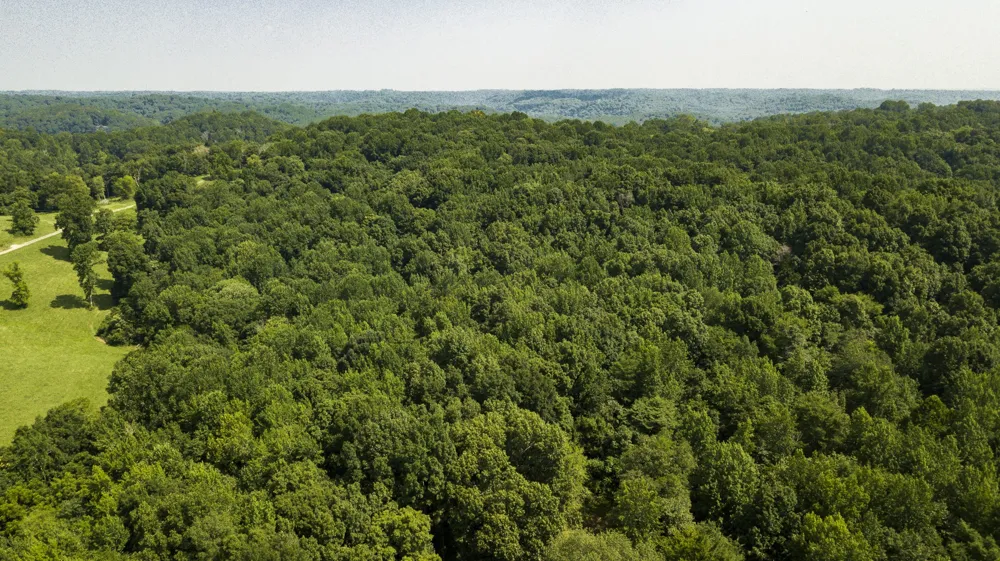 0 S Thompson Ln Goodlettsville, TN 37072
