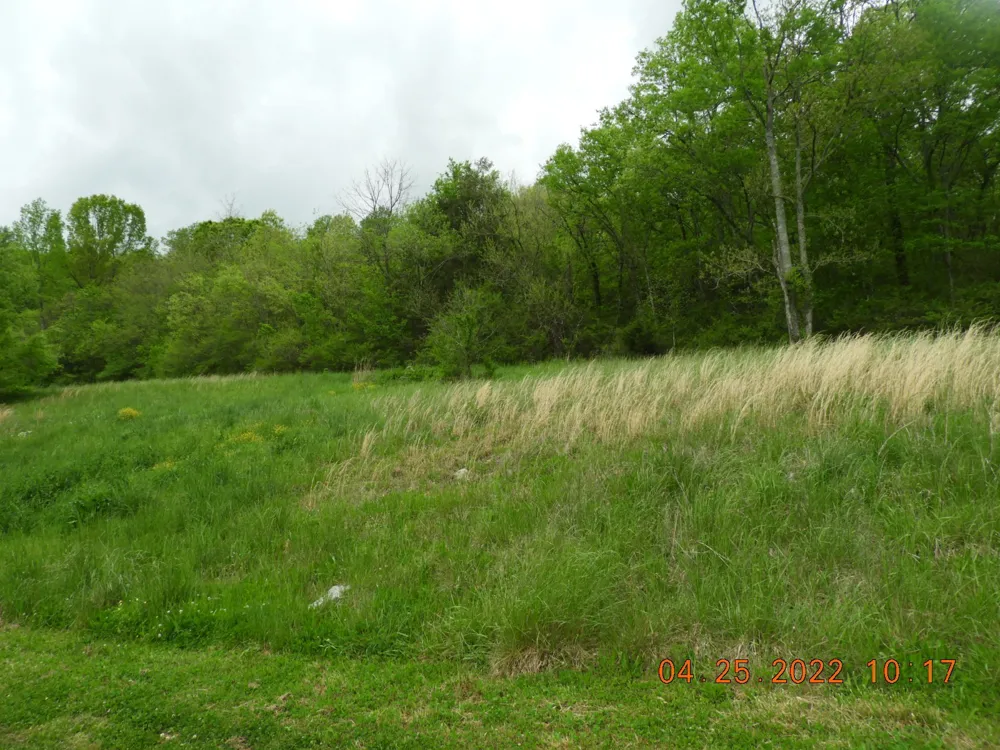 1450 Highway 64 Pulaski, TN 38478