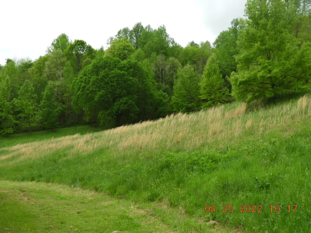 1450 Highway 64 Pulaski, TN 38478