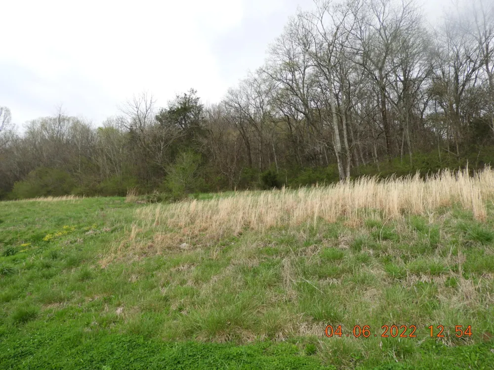 1450 Highway 64 Pulaski, TN 38478
