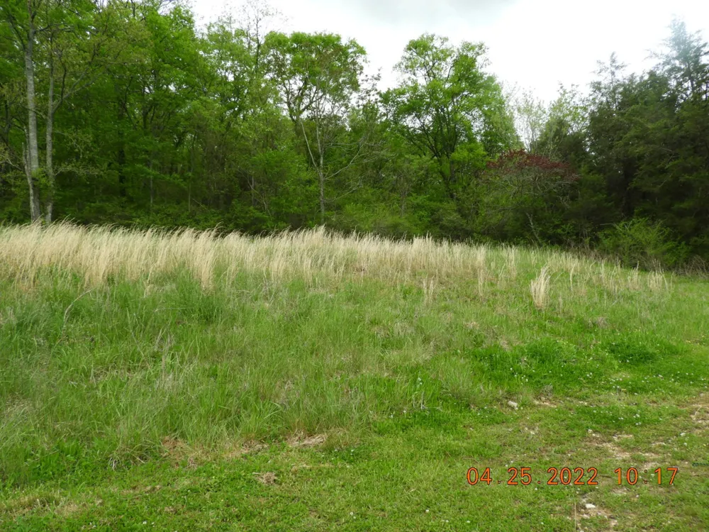 1450 Highway 64 Pulaski, TN 38478