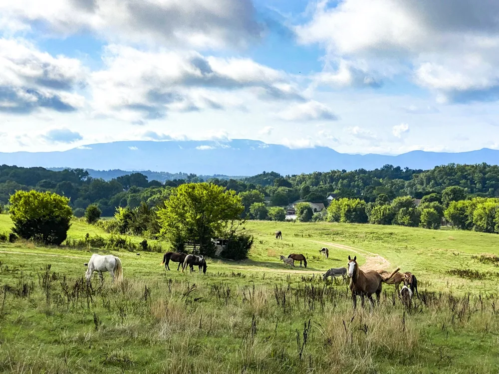 0 Hwy 139 Dandridge, TN 37725