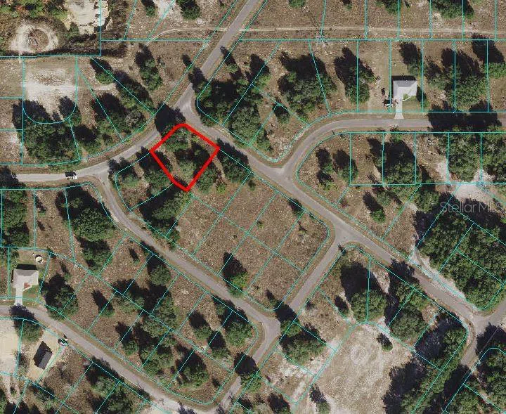 GUAVA TERRACE Ocklawaha, FL 32179