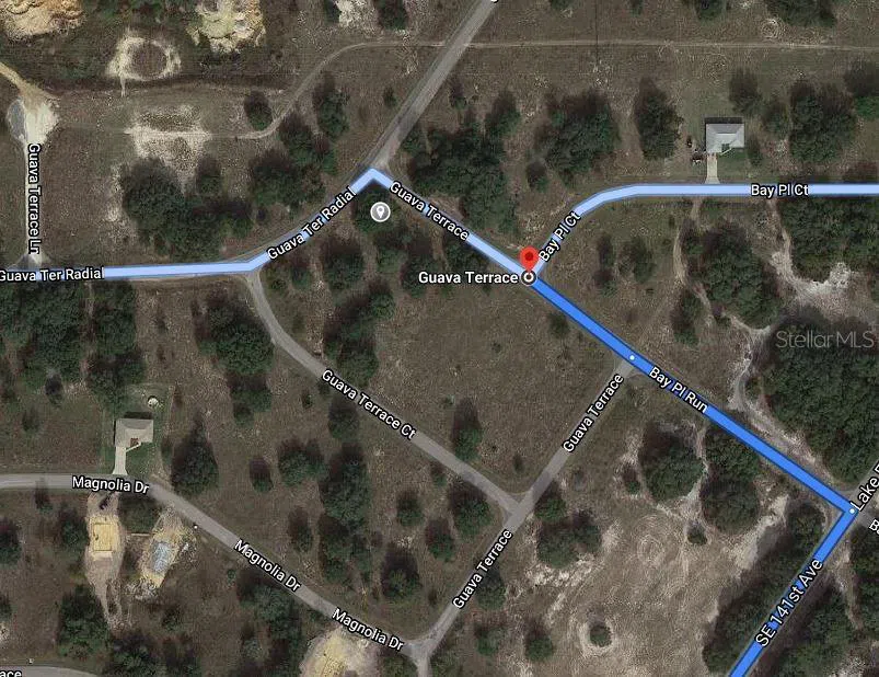 GUAVA TERRACE Ocklawaha, FL 32179