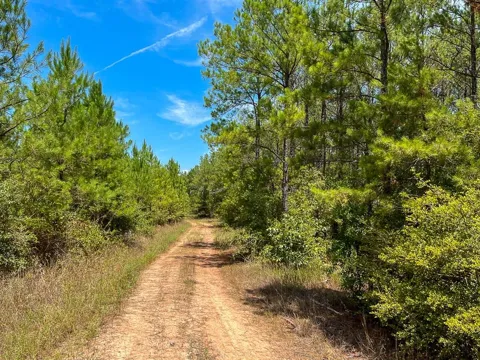 Lost Indian Camp Rd