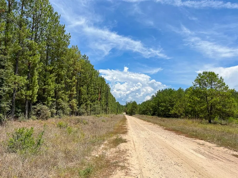 Lost Indian Camp Rd Huntsville, TX 77320