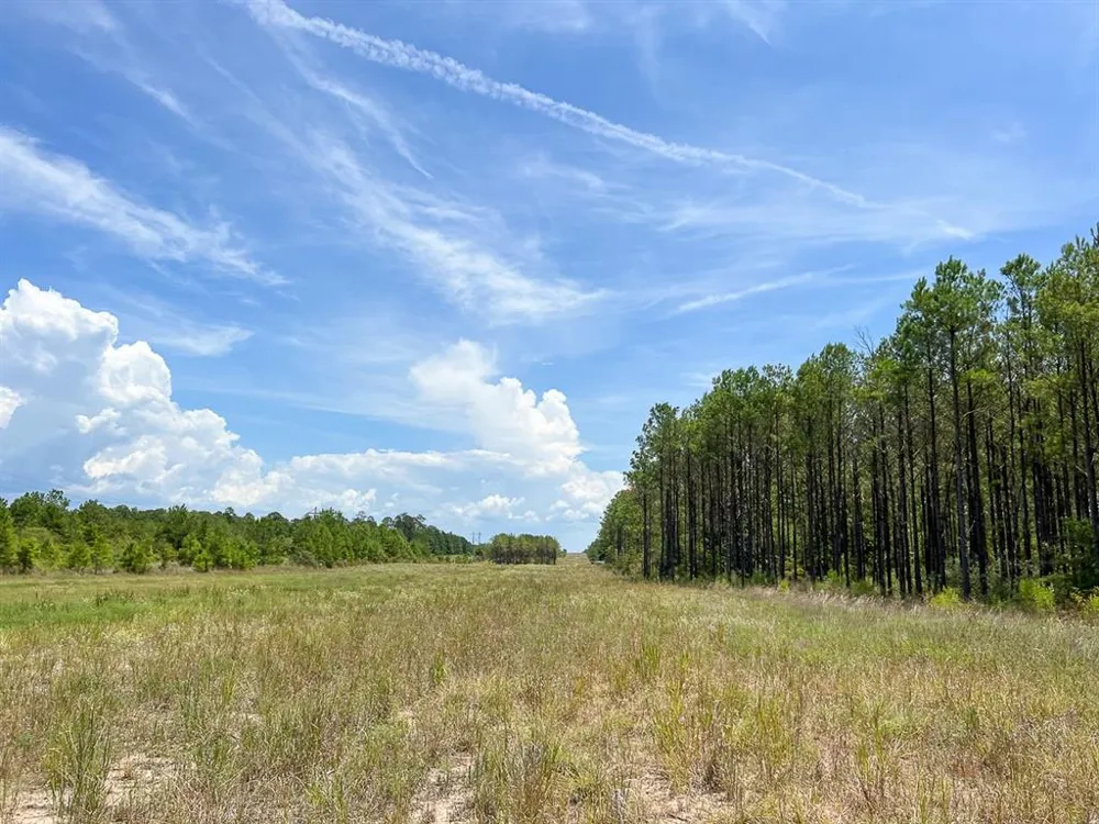 Lost Indian Camp Rd Huntsville, TX 77320