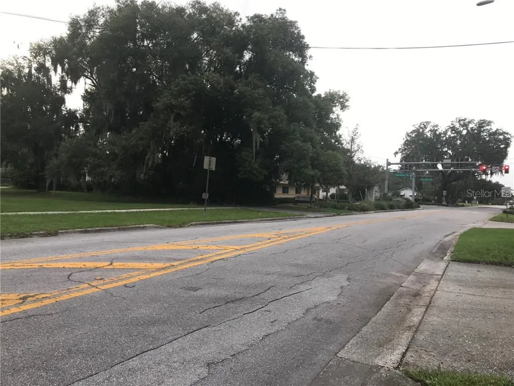 315 SINCLAIR AVENUE Tavares, FL 32778