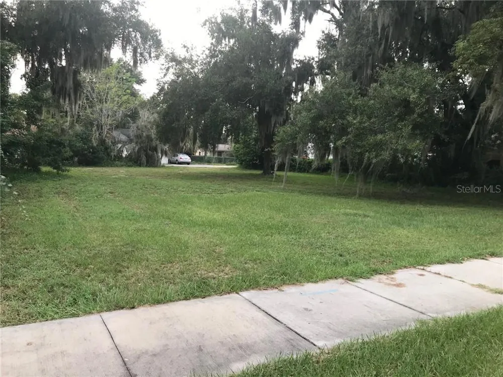 315 SINCLAIR AVENUE Tavares, FL 32778