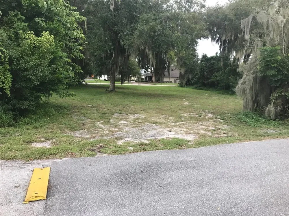315 SINCLAIR AVENUE Tavares, FL 32778