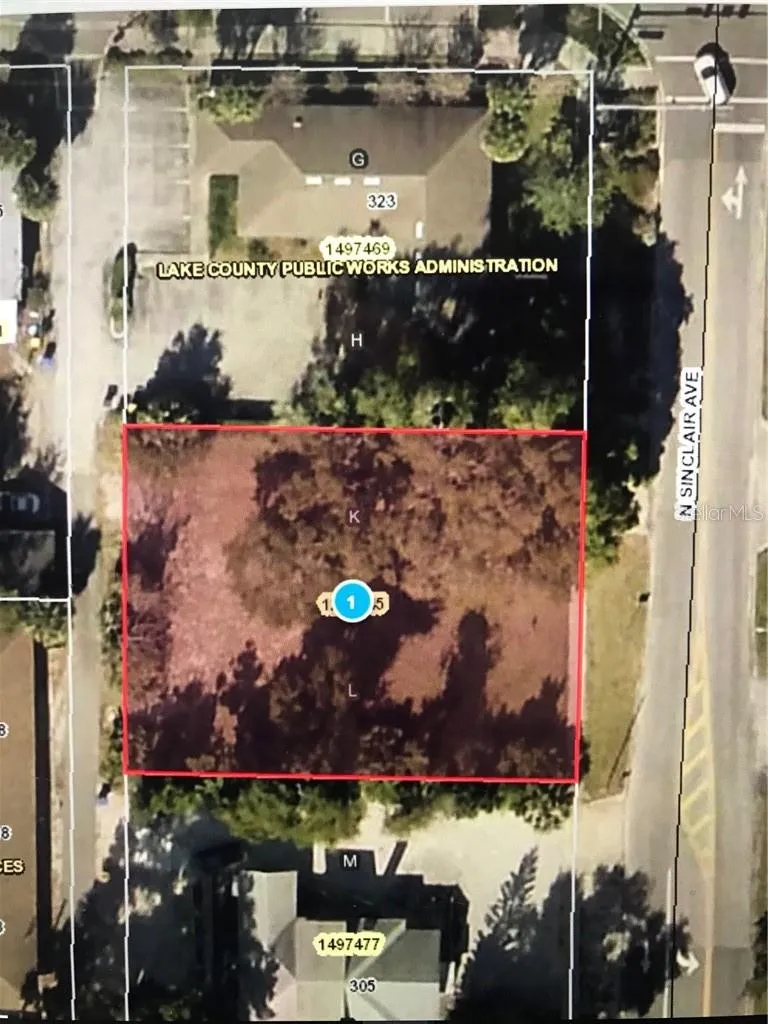 315 SINCLAIR AVENUE Tavares, FL 32778