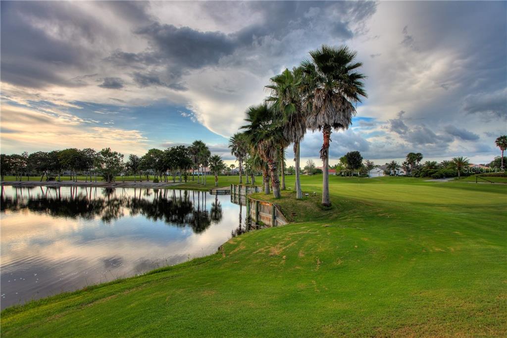 5330 HYLAND HILLS AVENUE #2321 Sarasota, FL 34241