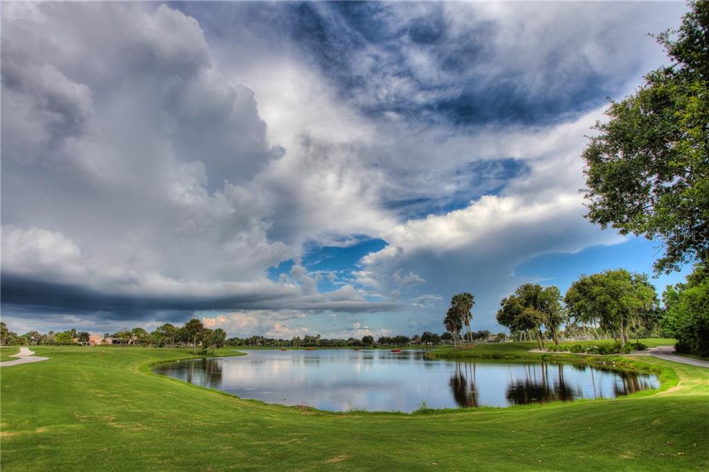 5330 HYLAND HILLS AVENUE #2321 Sarasota, FL 34241