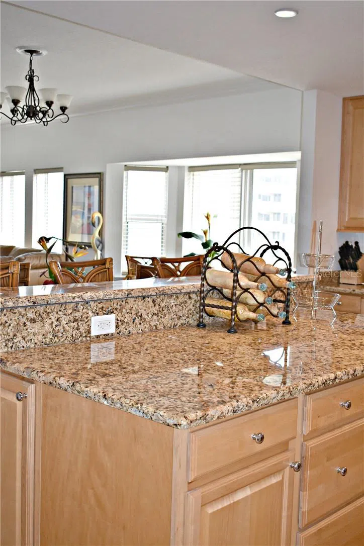 701 ATLANTIC AVENUE W #401 New Smyrna Beach, FL 32169