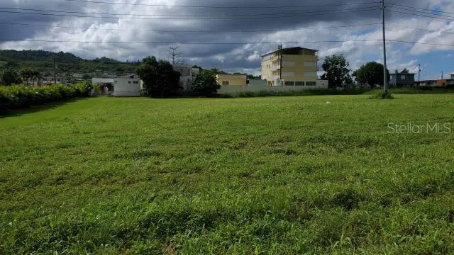 PR-174 SAN AGUSTIN Bayamón, PR 00959