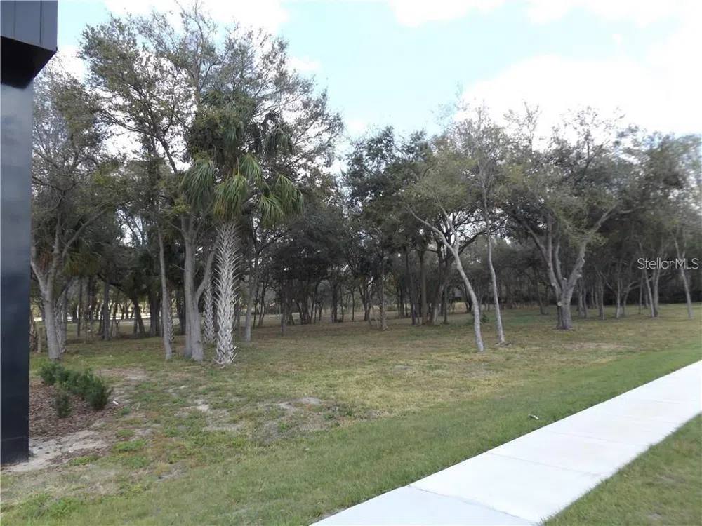 10490 VENTURA BLVD. Tampa, FL 33619
