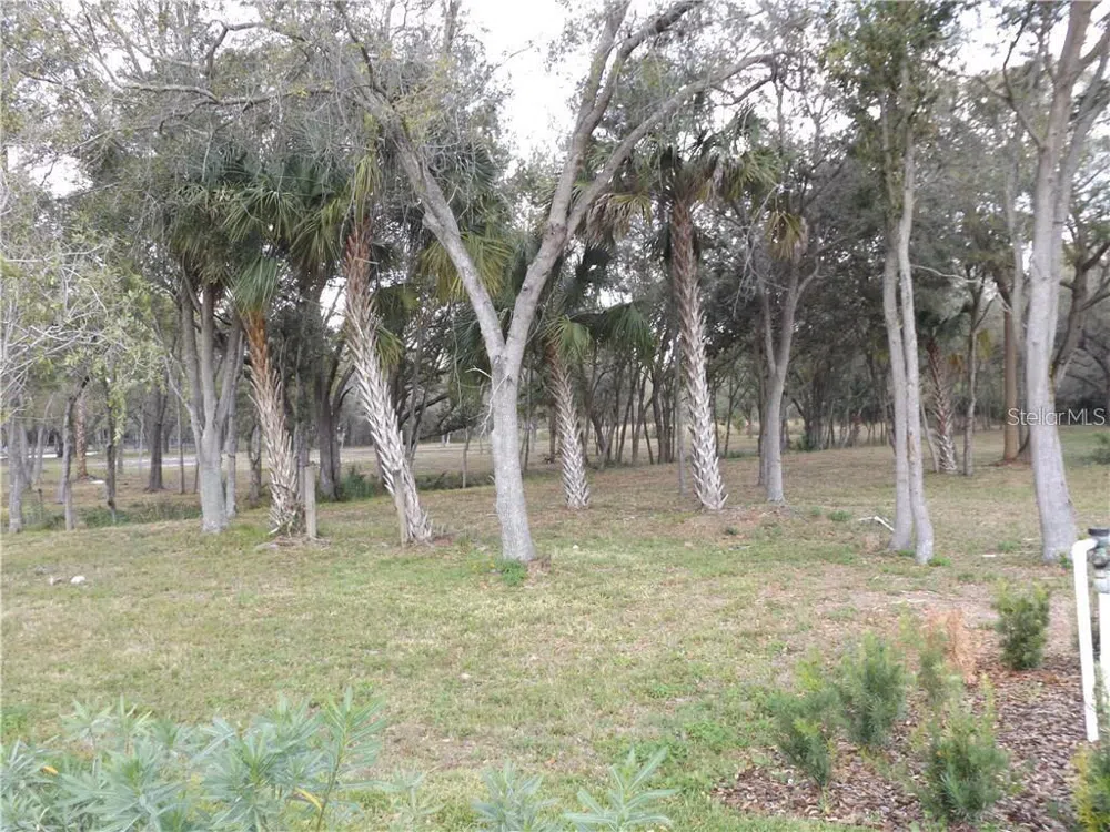10490 VENTURA BLVD. Tampa, FL 33619