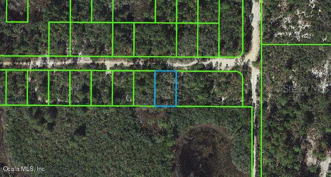 333 Claverton Drive Lake Placid, FL 33852