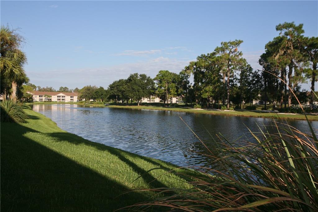 5270 HYLAND HILLS AVENUE #1722 Sarasota, FL 34241