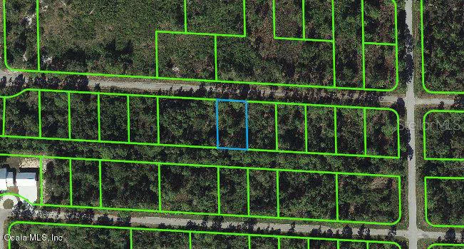 3410 Sandhill Crane Avenue