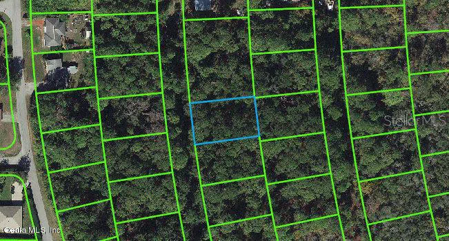 217 Harmony Court Lake Placid, FL 33852