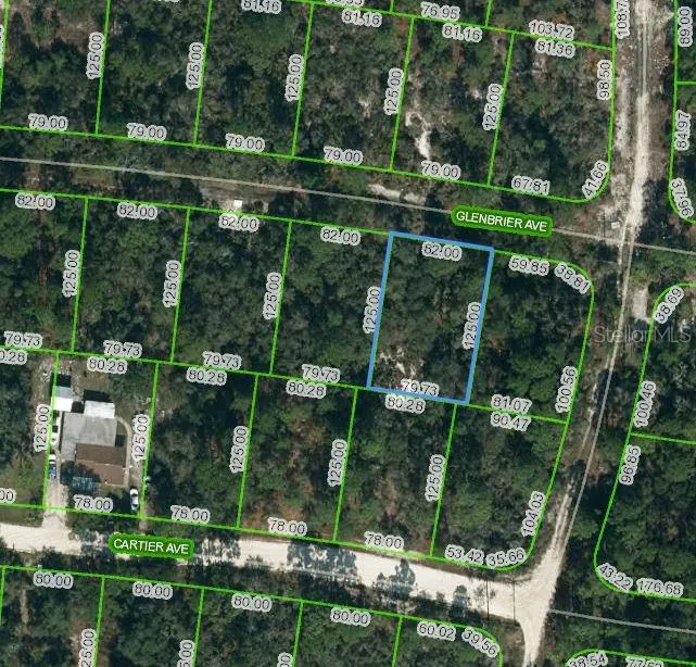 341 GLENBRIER AVENUE Lake Placid, FL 33852