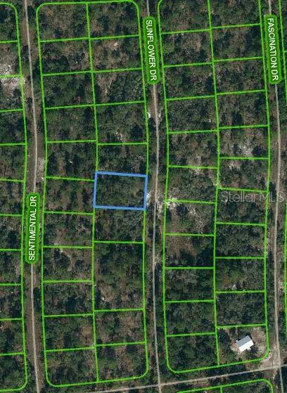 256 SUNFLOWER AVENUE