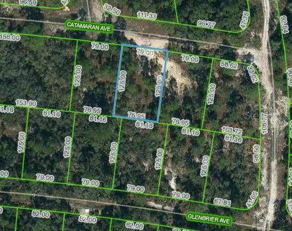 337 CATAMARAN AVENUE Lake Placid, FL 33852
