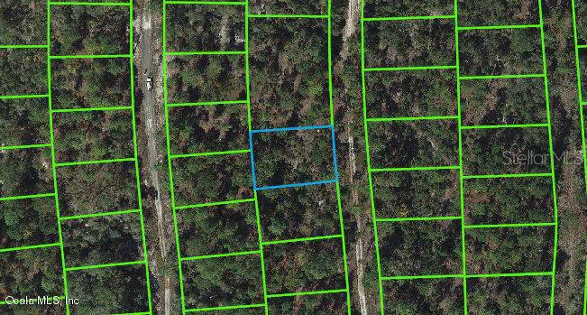 268 Sunnyside Drive Lake Placid, FL 33852